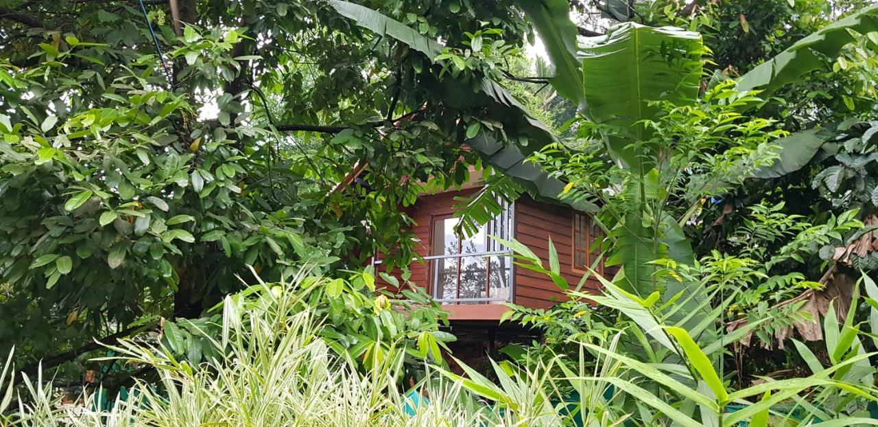 Wayanad Doubletree Villa Витхири Экстерьер фото