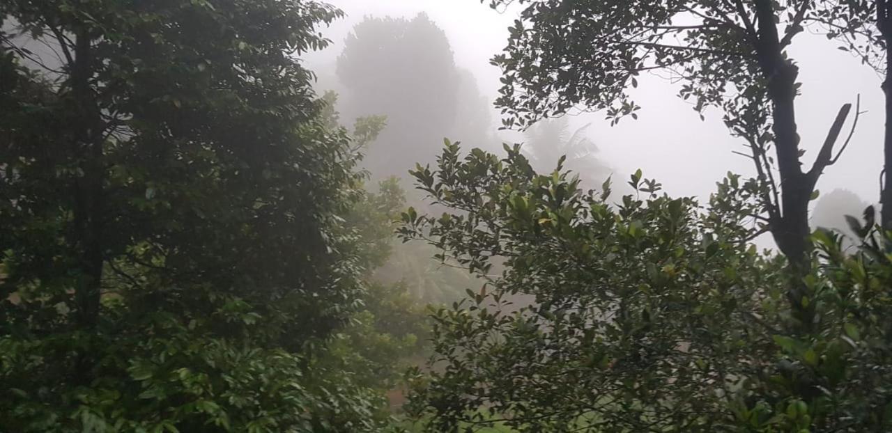Wayanad Doubletree Villa Витхири Экстерьер фото