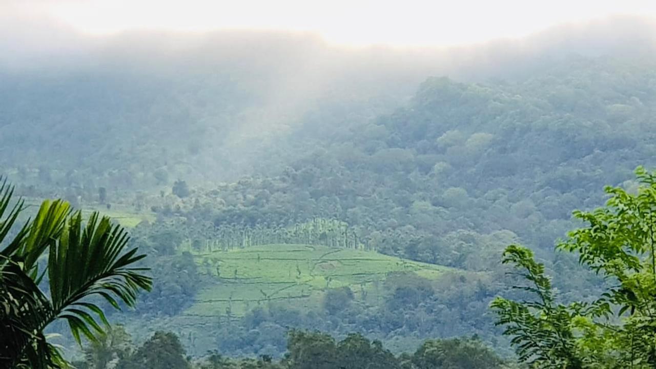 Wayanad Doubletree Villa Витхири Экстерьер фото