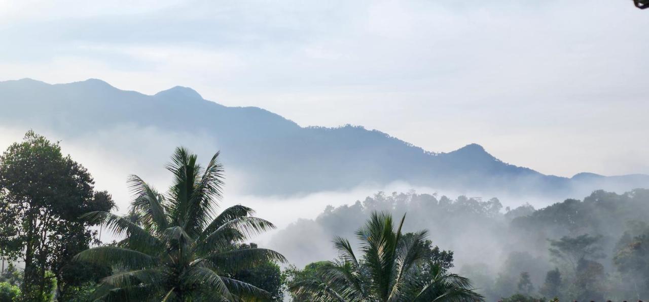 Wayanad Doubletree Villa Витхири Экстерьер фото